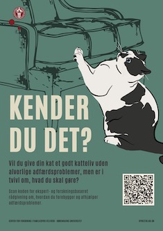Plakat med kat der kradser på sofa