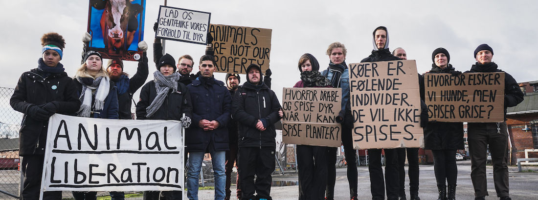 En gruppe aktivister fra gruppen Aarhus Cow Save samlet til en demonstration foran kvægslagteriet Aarhus Slagtehus / Skare Beef 8/1 2019.
