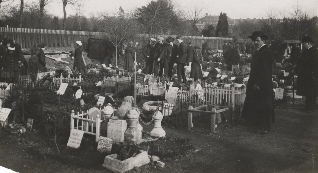 Hundekirkegården på Østerbro år 1880-1916