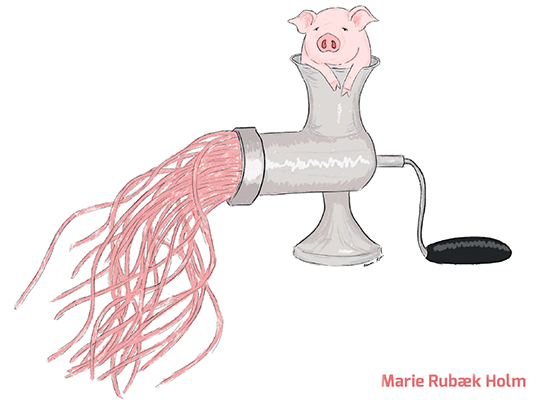 Gris i kødhakker. Illustration af Marie Rubæk Holm