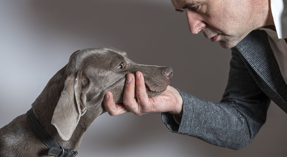 Mand holder hund om snuden. Foto: Dreamstime